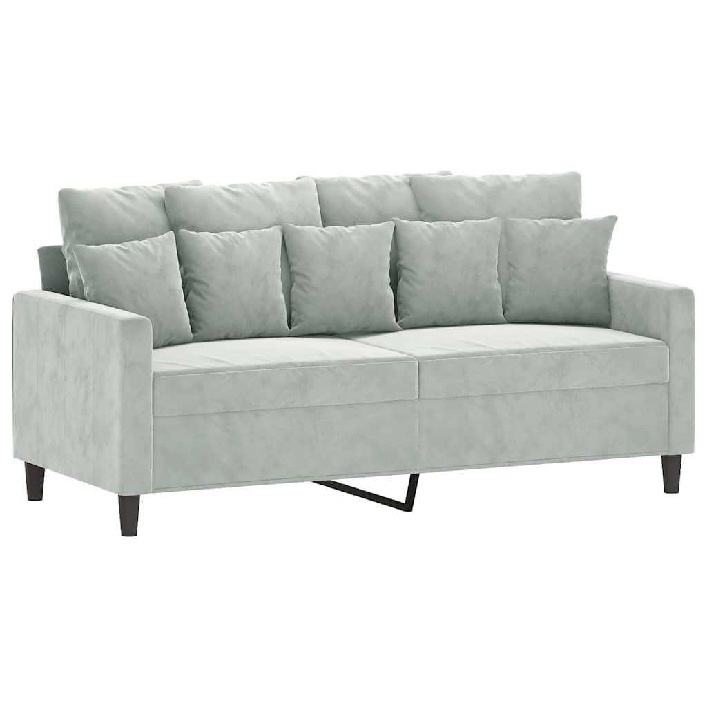 Light Gray Velvet 2-Seater Sofa W1775
