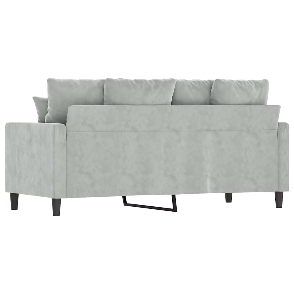 Light Gray Velvet 2-Seater Sofa W1775