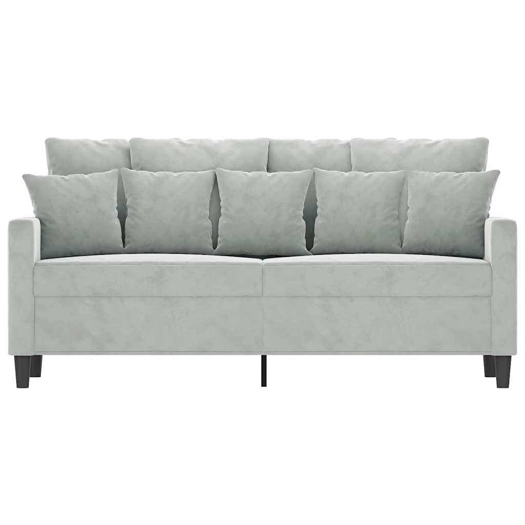 Light Gray Velvet 2-Seater Sofa W1775
