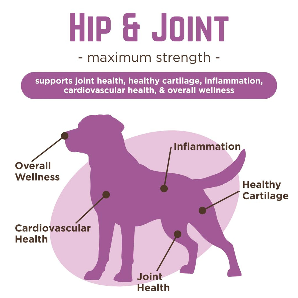Glucosamine & Chondroitin Dog Joint Supplement Chews, Peanut Butter, 120 Ct I3905