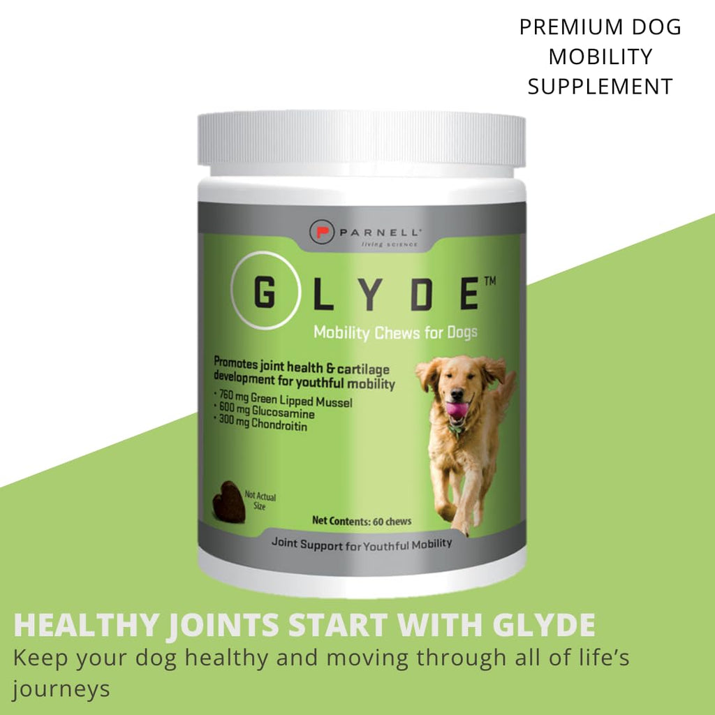 Hip & Joint Supplement for Dogs, 120 Chews W3561