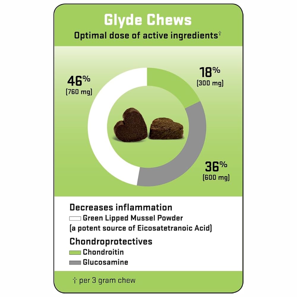 Hip & Joint Supplement for Dogs, 120 Chews W3561