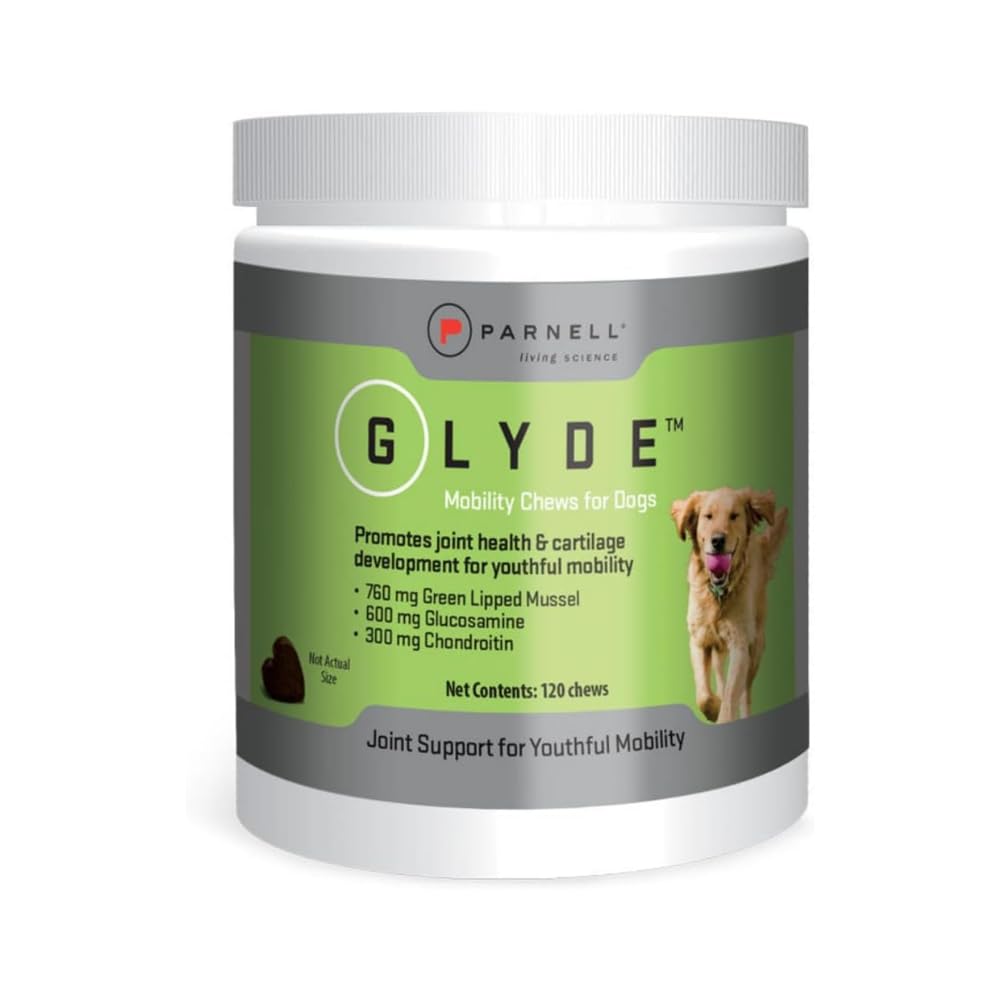 Hip & Joint Supplement for Dogs, 120 Chews W3561