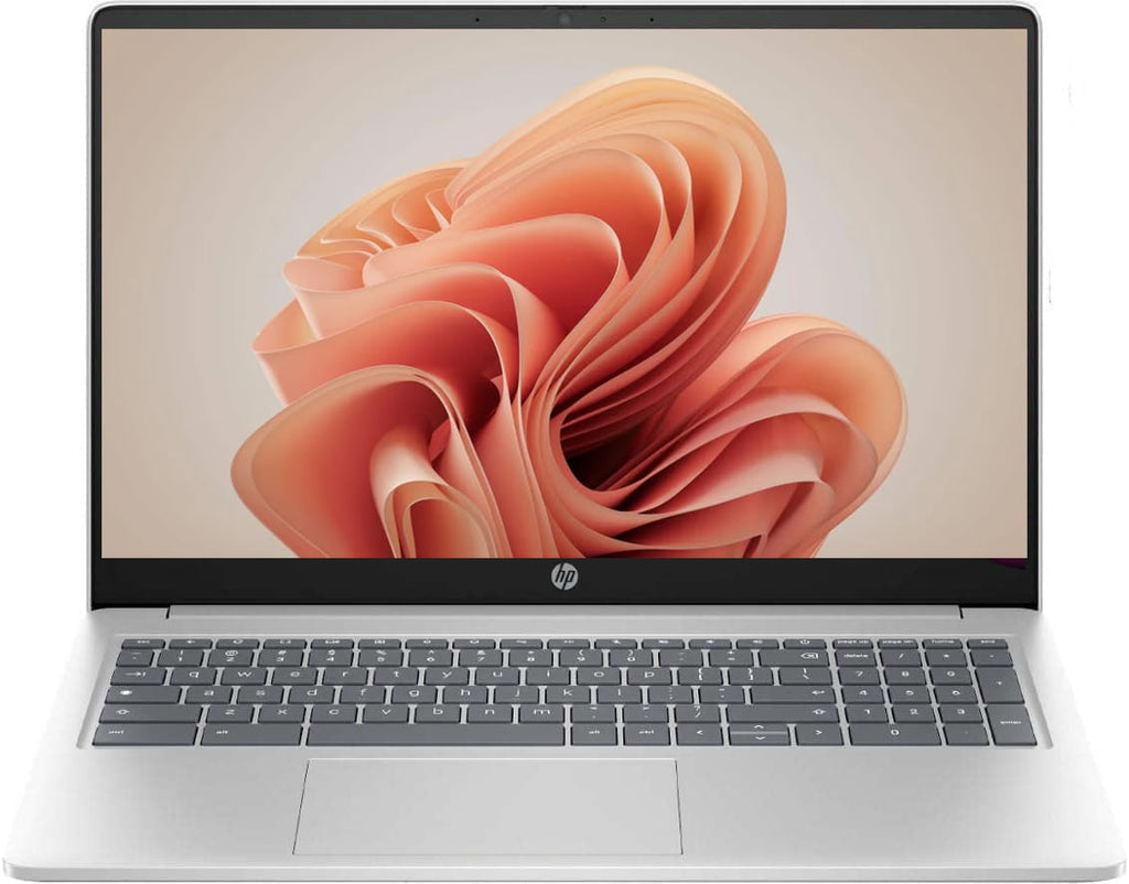 15.6in Silver Chromebook W8601