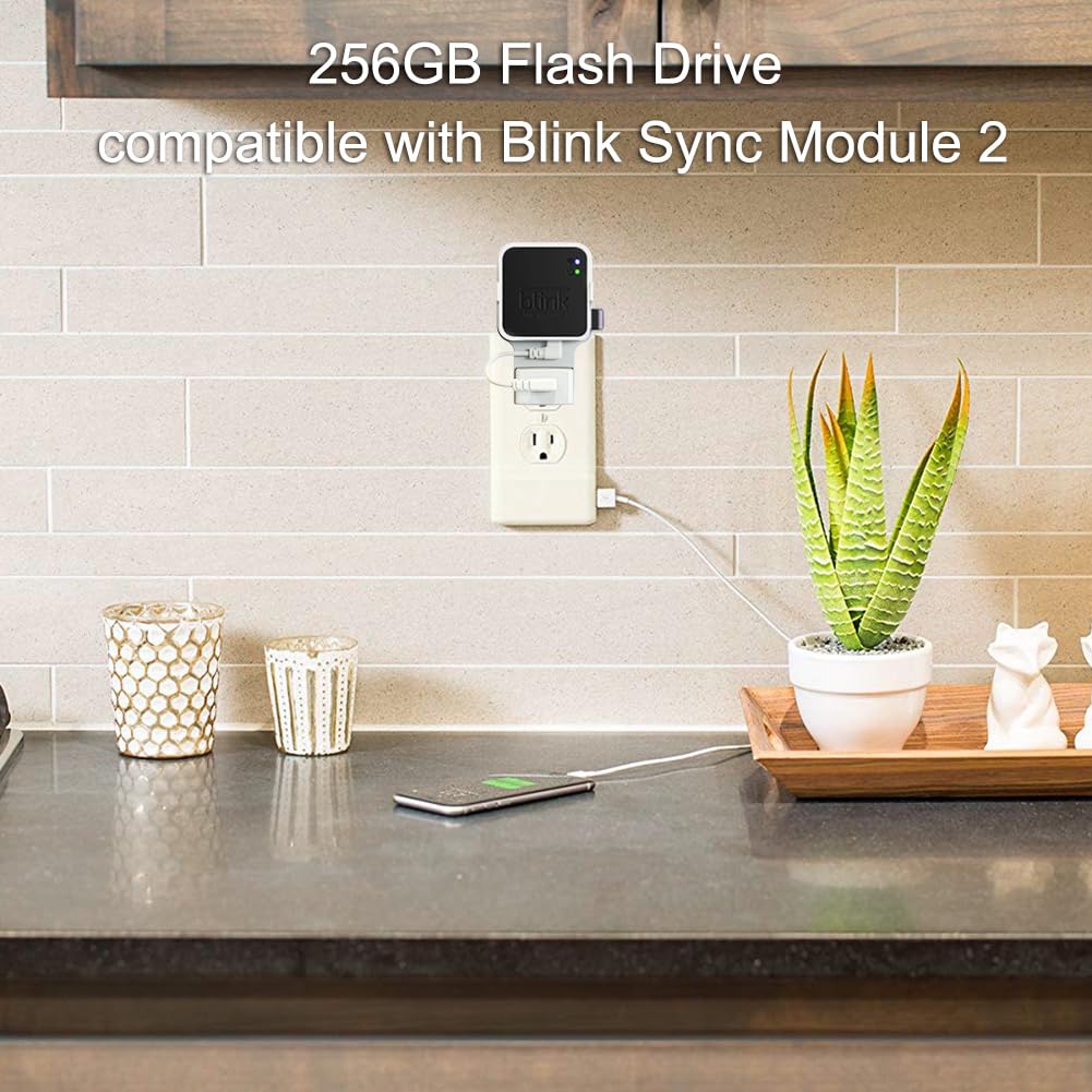 256GB USB Flash Drive with Outlet Wall Mount C28570