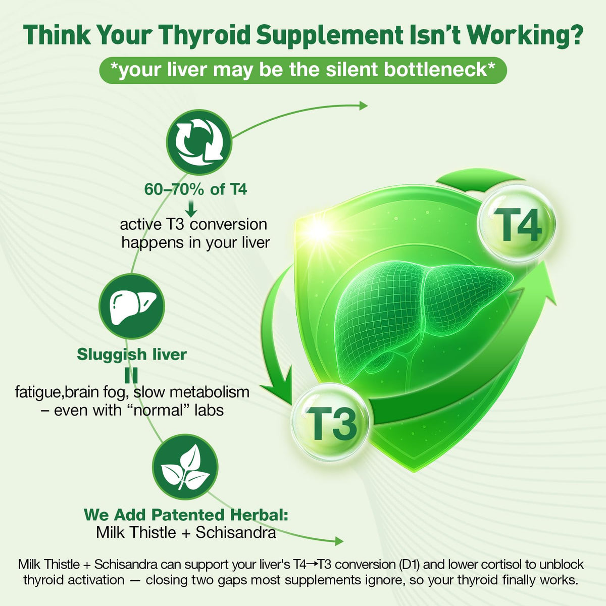 Thyroid Support Supplement 4 Fl.Oz T8023
