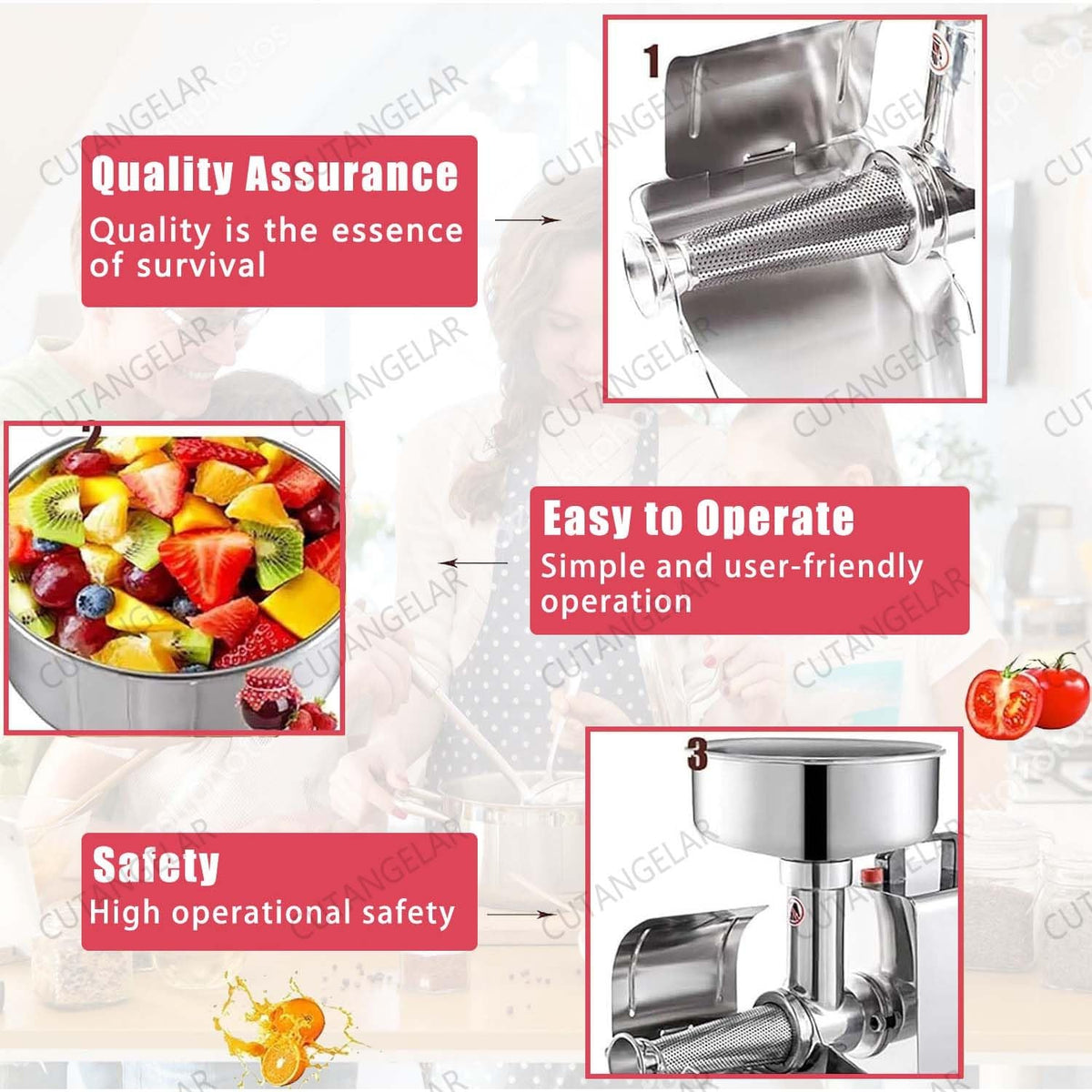 450W Electric Food Press with Steel Filter Y45560