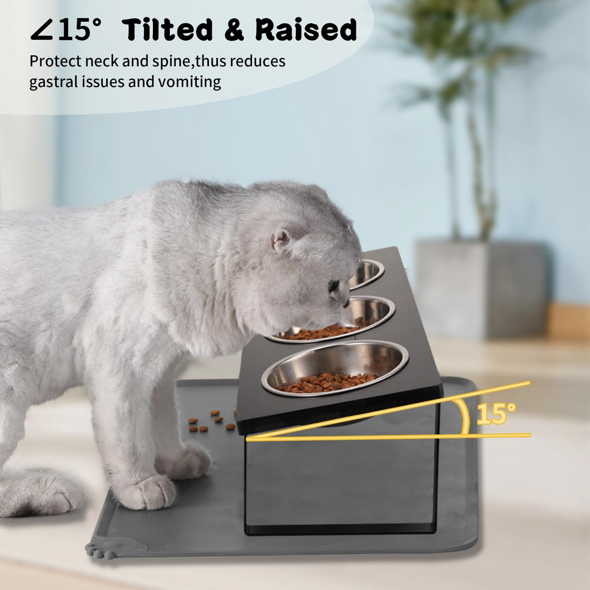 15° Tilted Stainless Steel Elevated Cat Bowls with Food Mat E35551