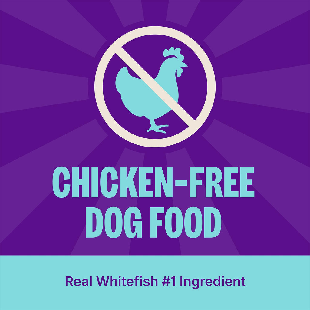 Dry Dog Food, Sensitive Stomach, Whitefish and Brown Rice, 22 lb Bag J7203
