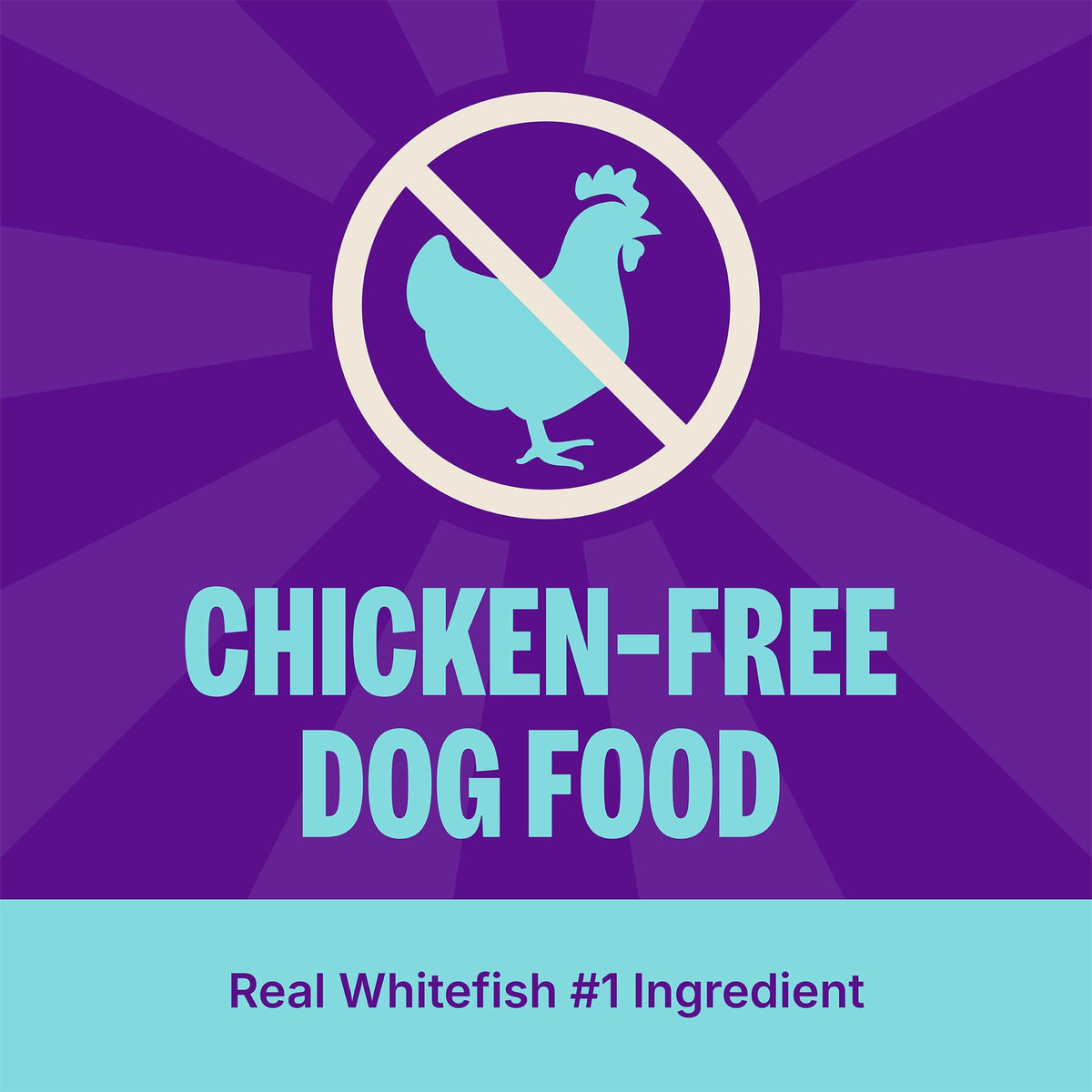 Dry Dog Food, Sensitive Stomach, Whitefish and Brown Rice, 22 lb Bag J7203