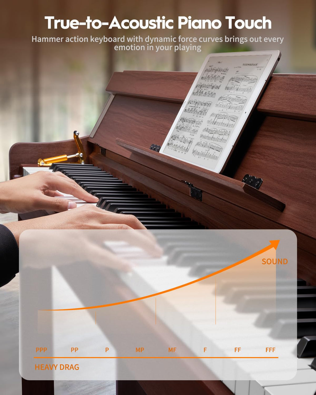 88 Keys Hammer-Action Fully Weighted Digital Piano with Furniture Stand D323