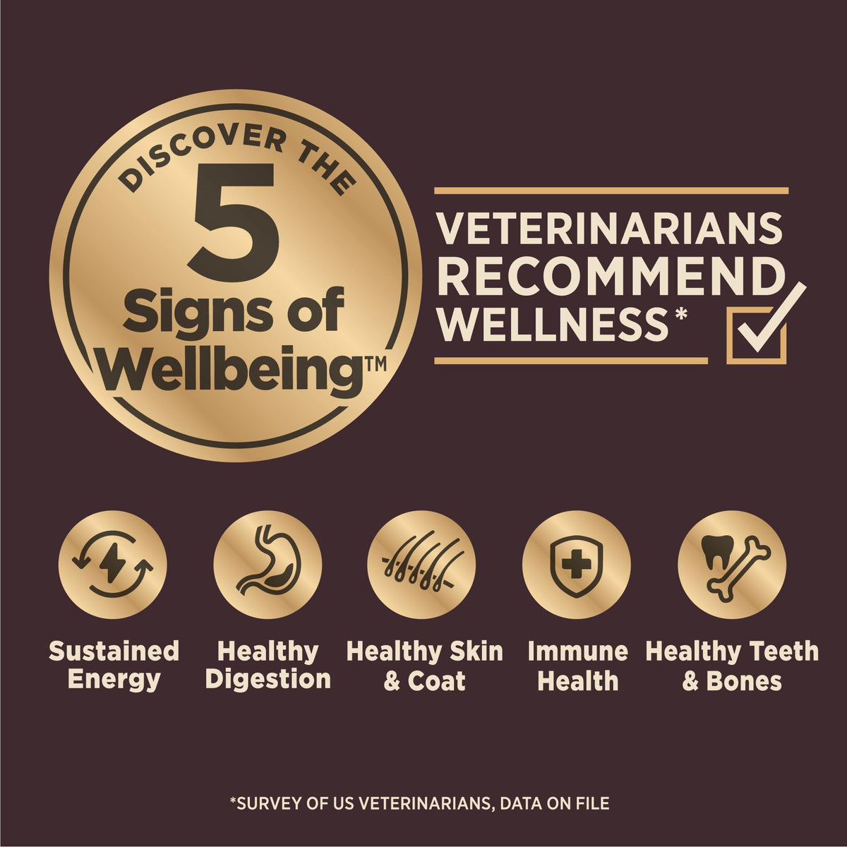 Dry Dog Food, Sensitive Stomach, Whitefish and Brown Rice, 22 lb Bag J7203