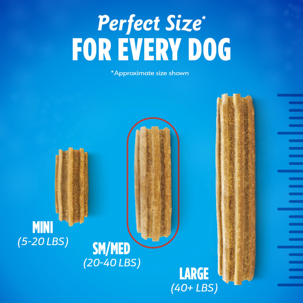 Daily Oral Care Dog Treats 40 ct R59391