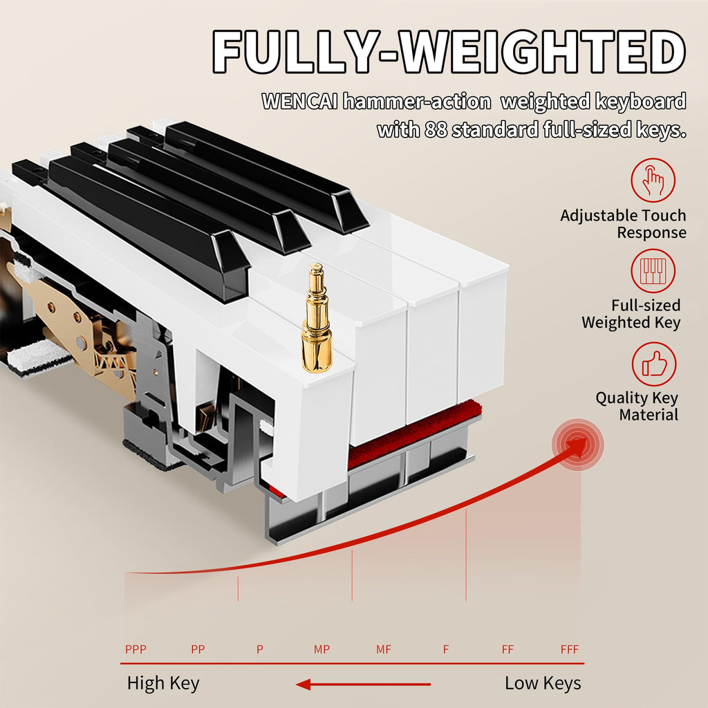 88 Key Fully Weighted Digital Piano Z94776
