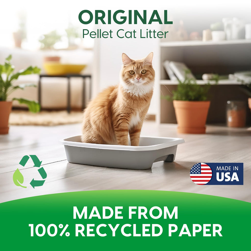 Non-Clumping Paper Cat Litter 25 Pound N72014