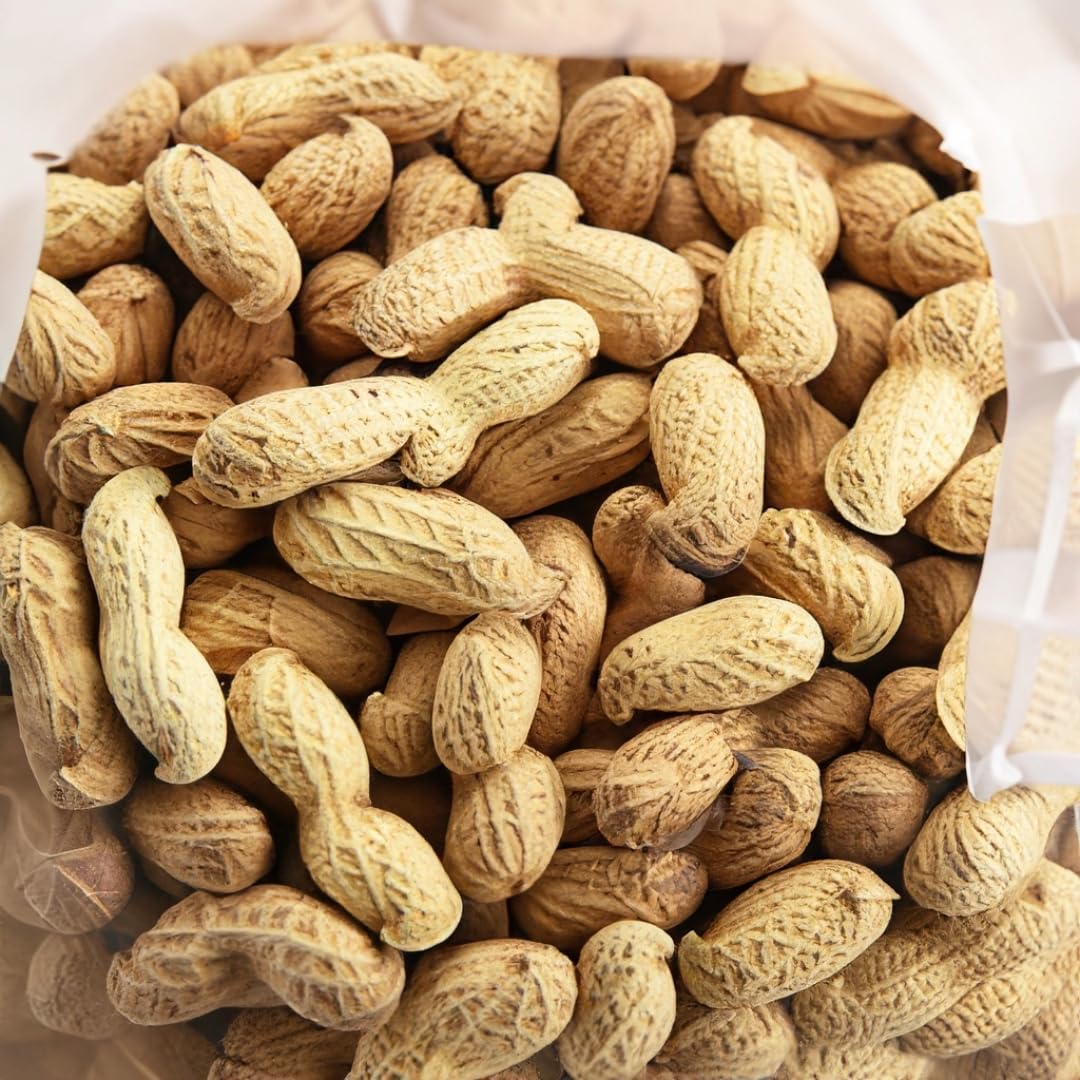 Roasted Salted Peanuts in the Shell 10 LB Z1984