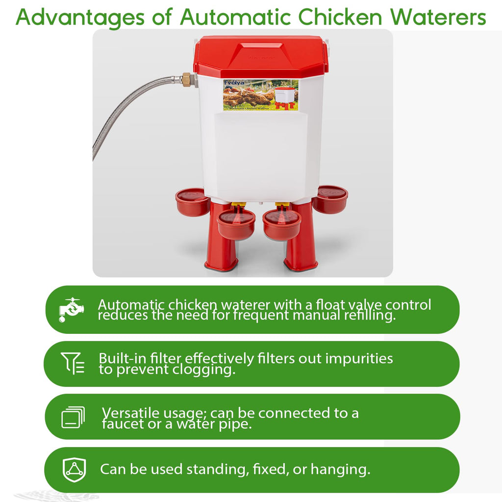 Automatic Chicken Waterer with Stainless Steel Hose G415