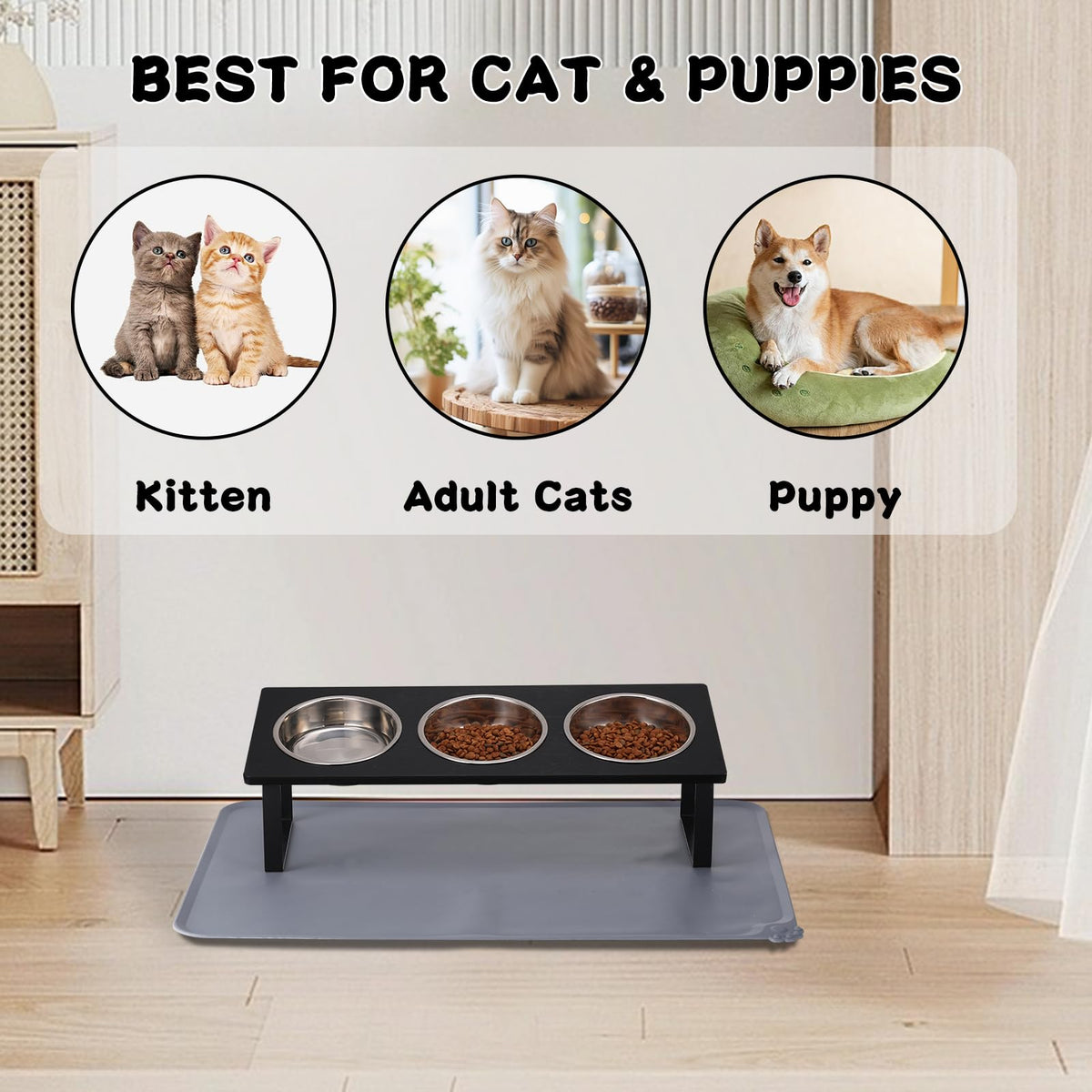 15° Tilted Stainless Steel Elevated Cat Bowls with Food Mat E35551