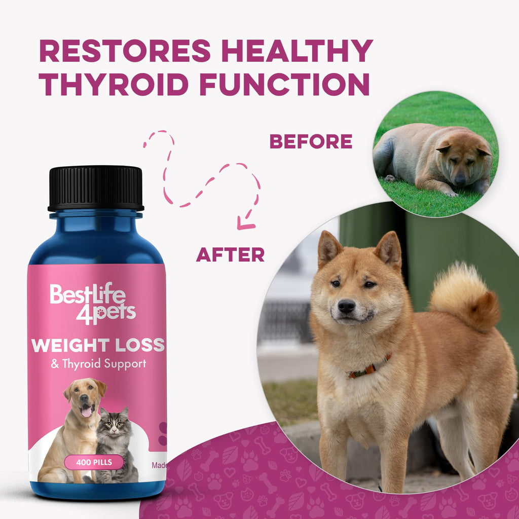 Weight Loss for Dogs 400 Pills Y279