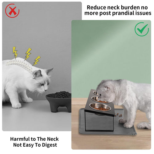 15° Tilted Stainless Steel Elevated Cat Bowls with Food Mat E35551