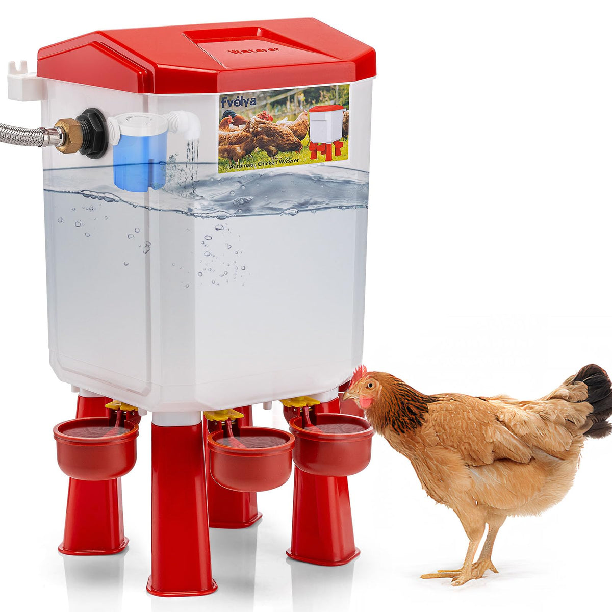 Automatic Chicken Waterer with Stainless Steel Hose G415