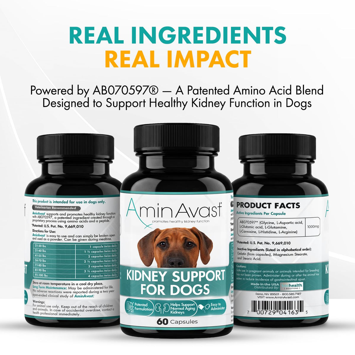 Kidney Support for Dogs 60 Sprinkle Capsules P494
