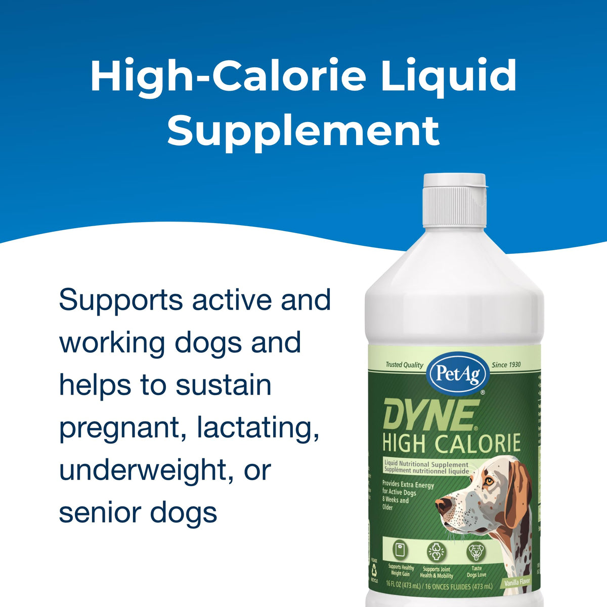 High Calorie Liquid Nutritional Supplement for Dogs & Puppies 16 oz I81079