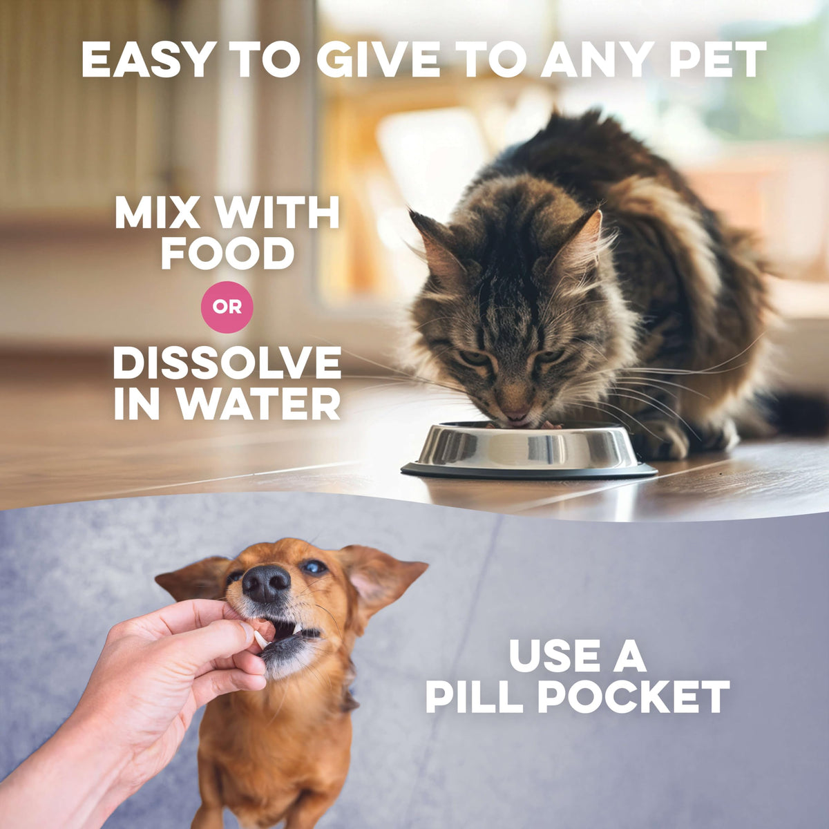 Weight Loss for Dogs 400 Pills Y279