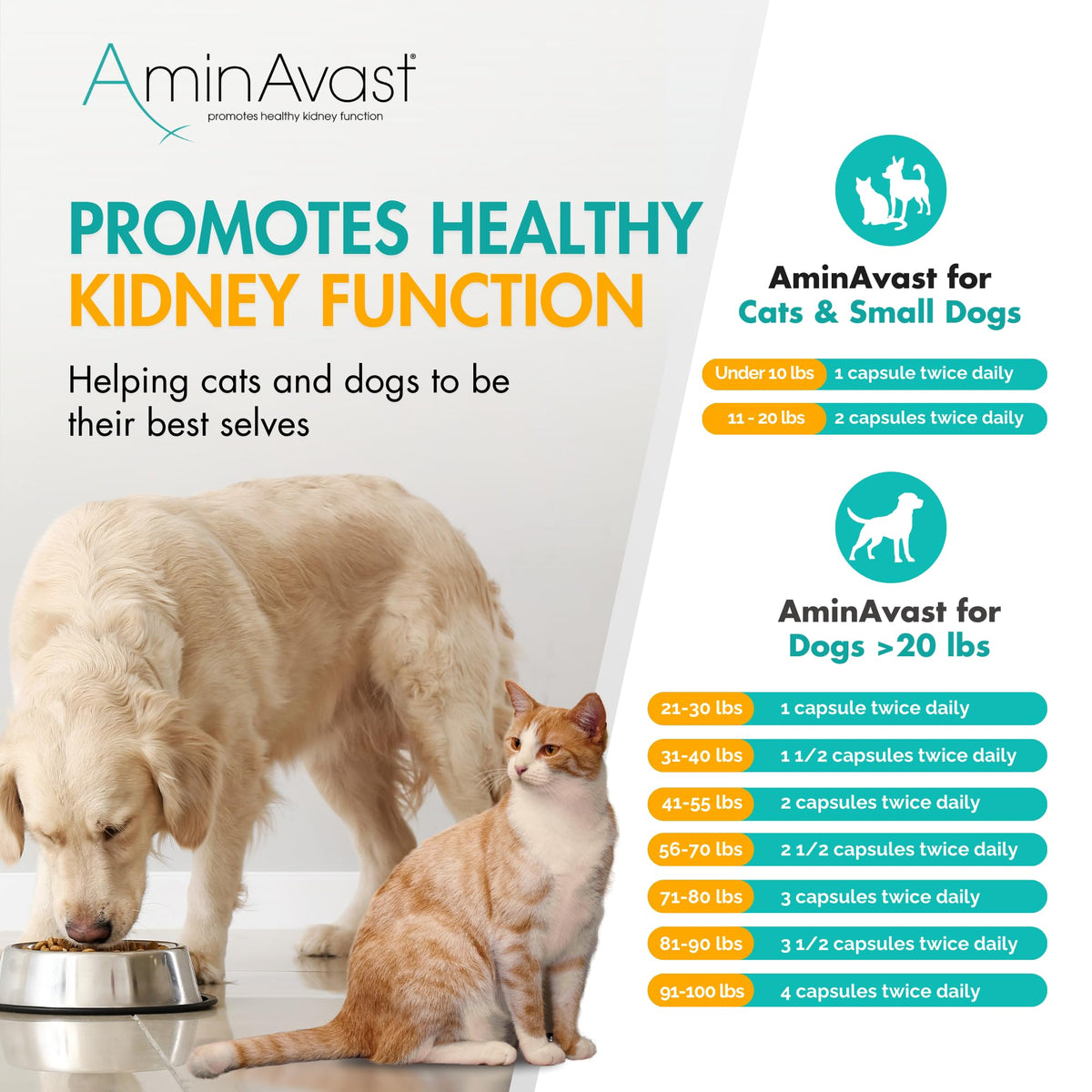 Kidney Support for Dogs 60 Sprinkle Capsules P494