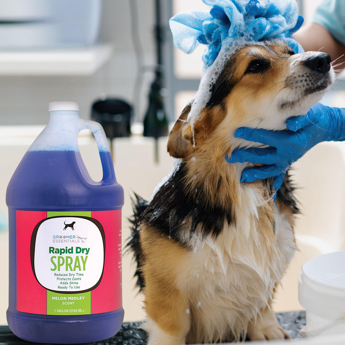 Rapid Dry Spray Gallon D17828