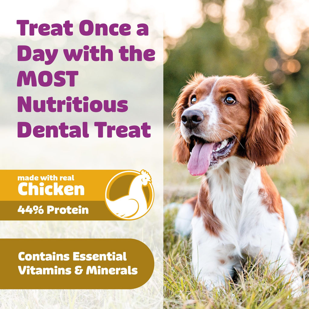 Chicken Dental Dog Treats 36oz 27 Count Z727