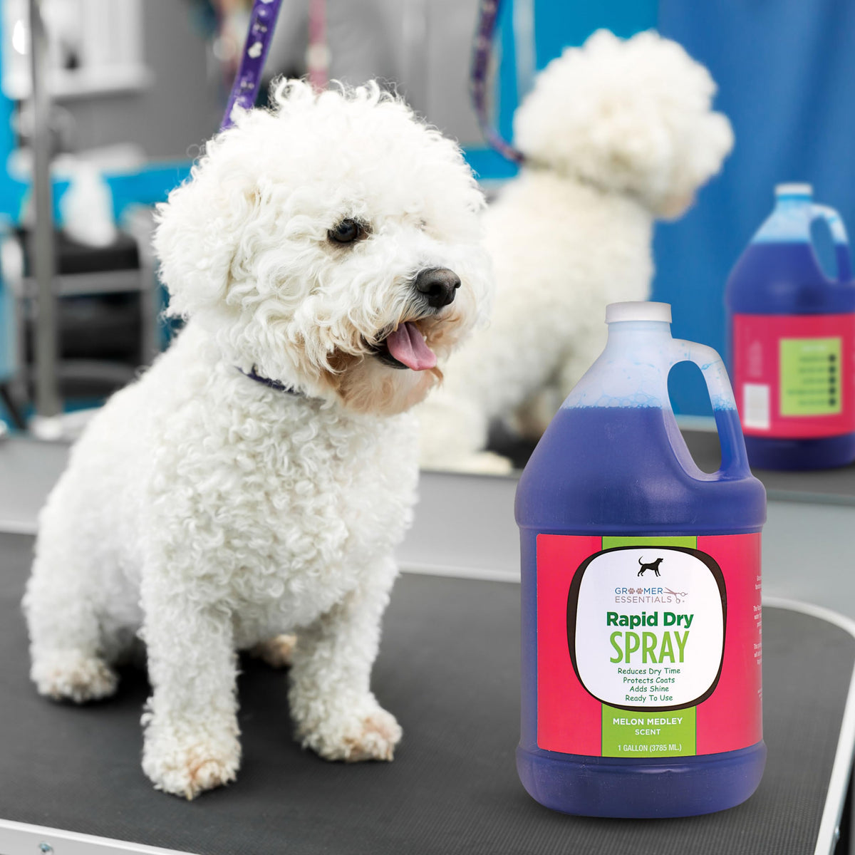 Rapid Dry Spray Gallon D17828