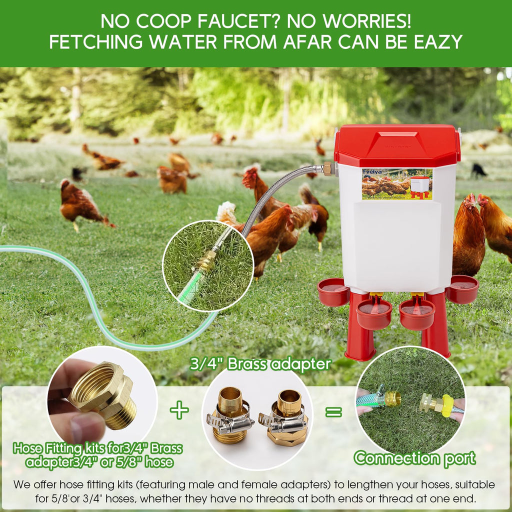 Automatic Chicken Waterer with Stainless Steel Hose G415