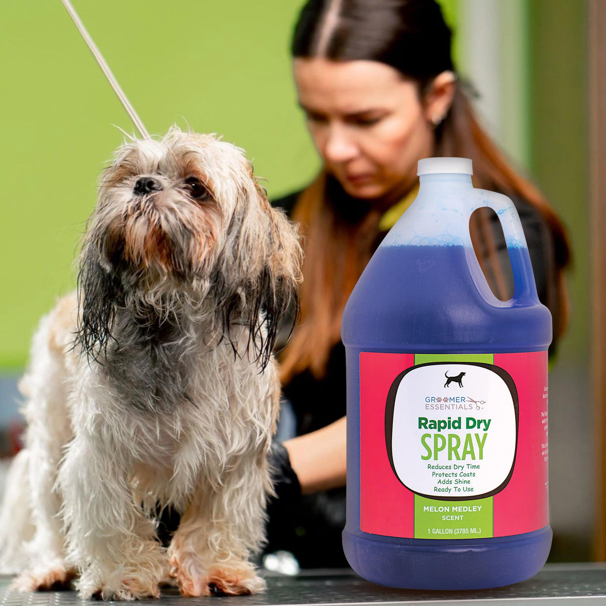 Rapid Dry Spray Gallon D17828