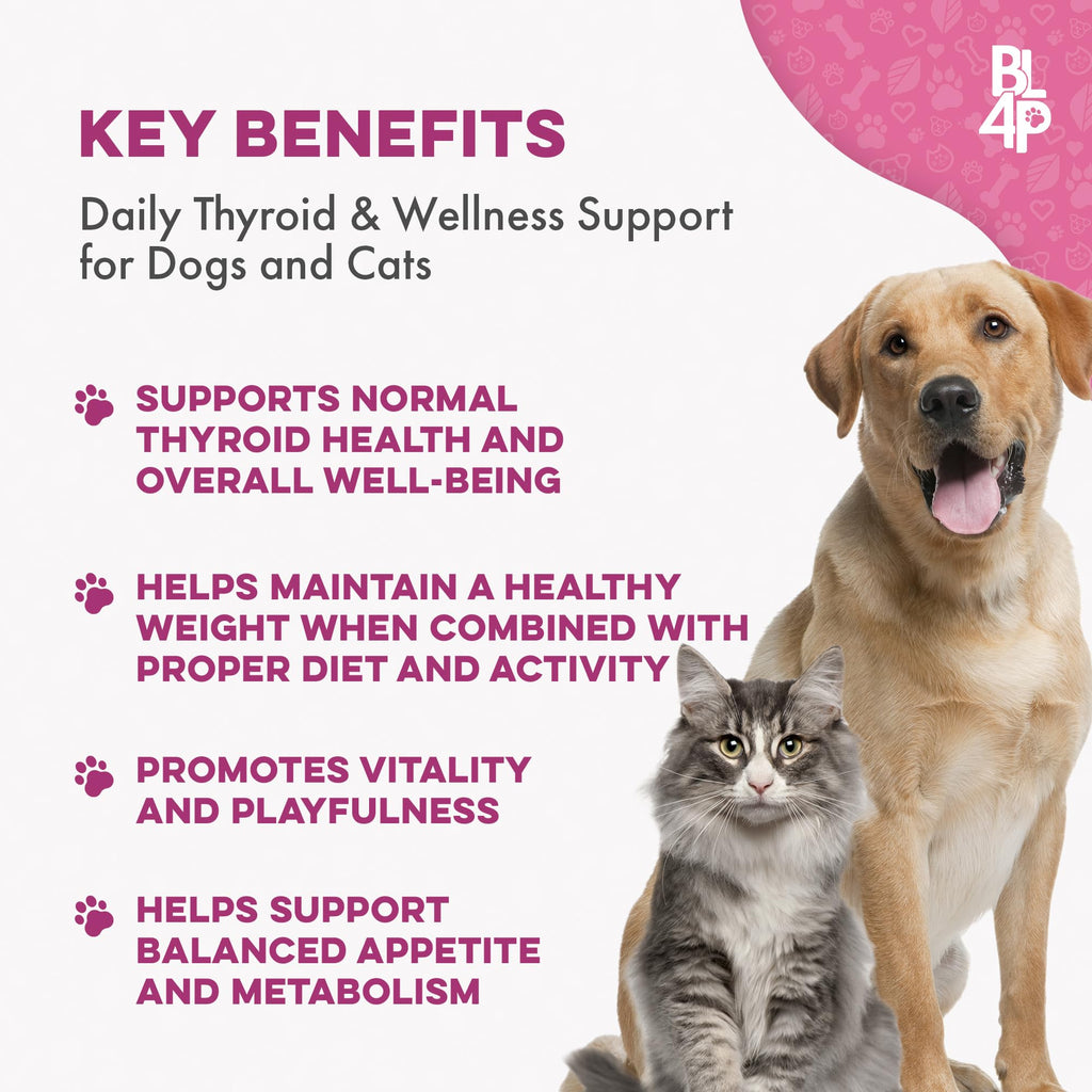 Weight Loss for Dogs 400 Pills Y279