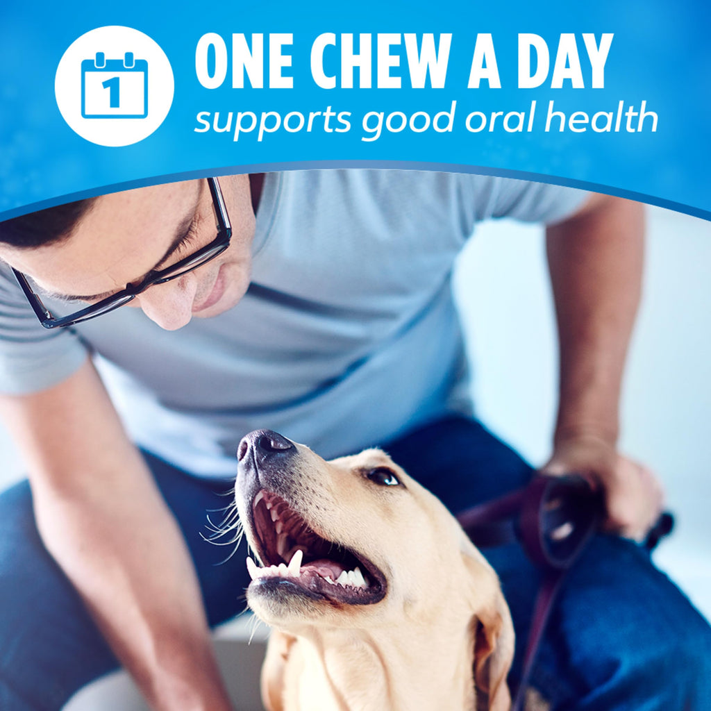 Daily Oral Care Dog Treats 40 ct R59391