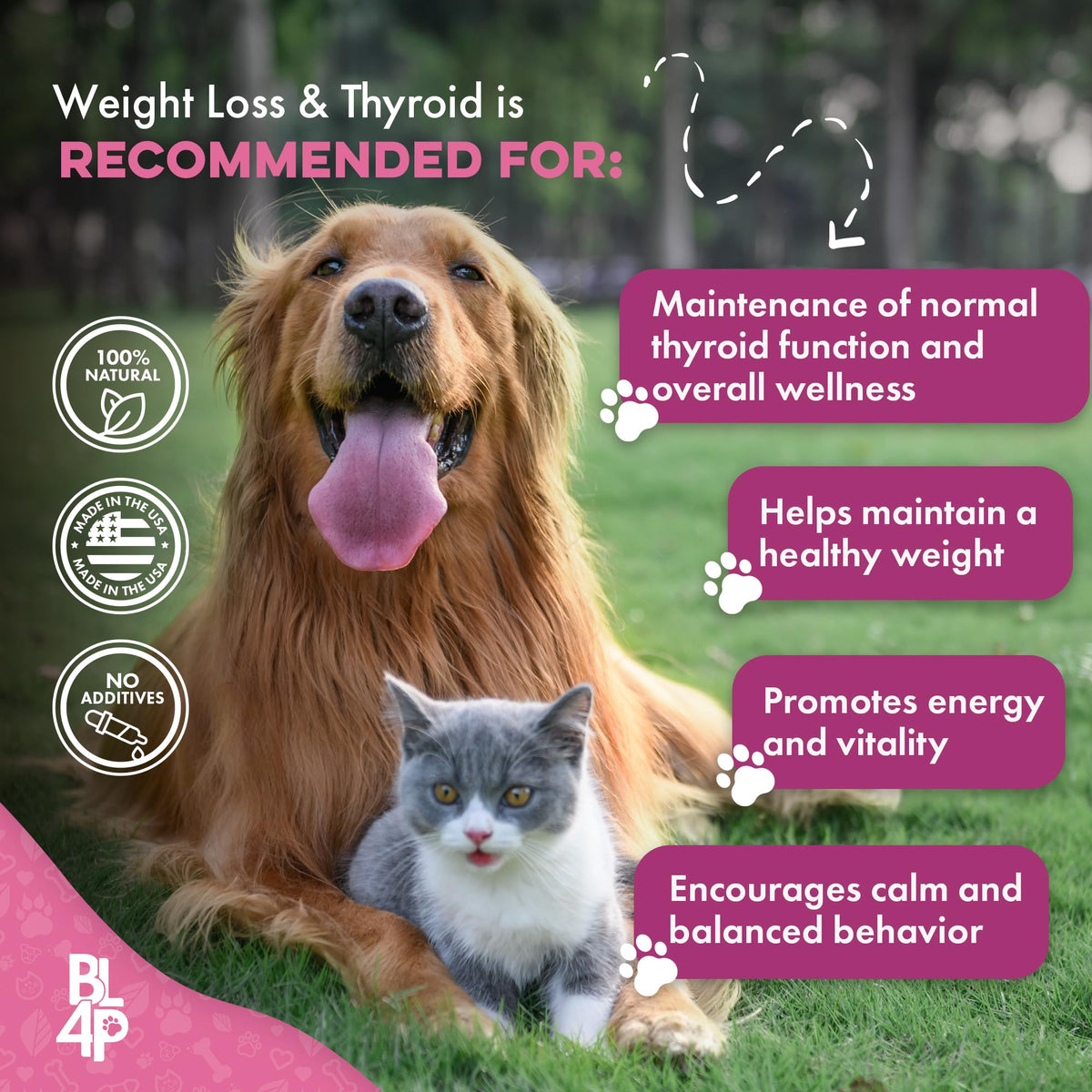Weight Loss for Dogs 400 Pills Y279