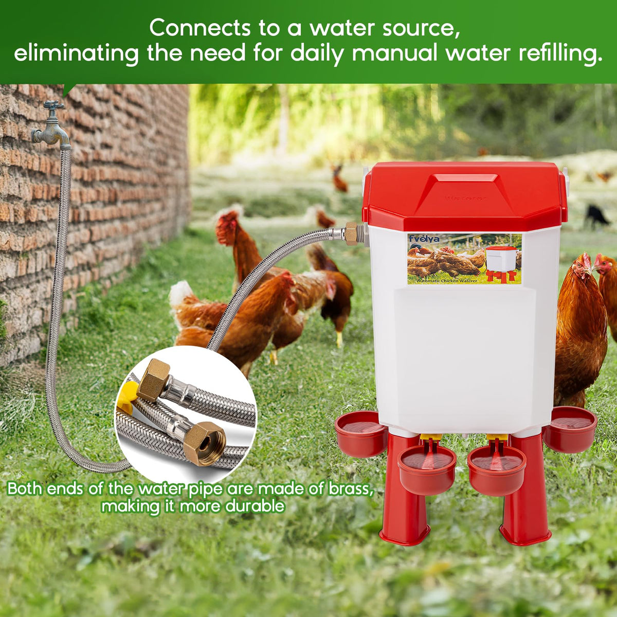 Automatic Chicken Waterer with Stainless Steel Hose G415