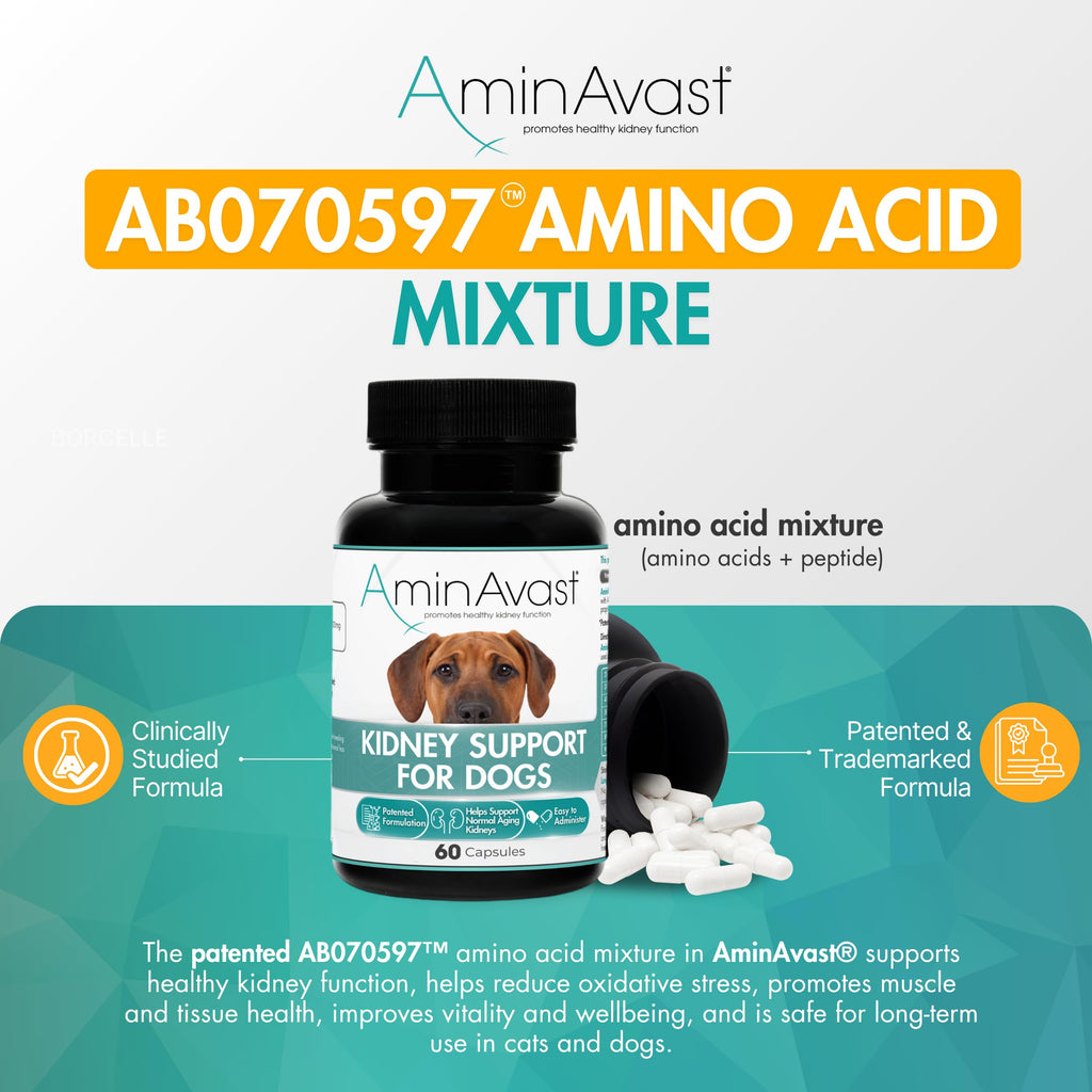 Kidney Support for Dogs 60 Sprinkle Capsules P494