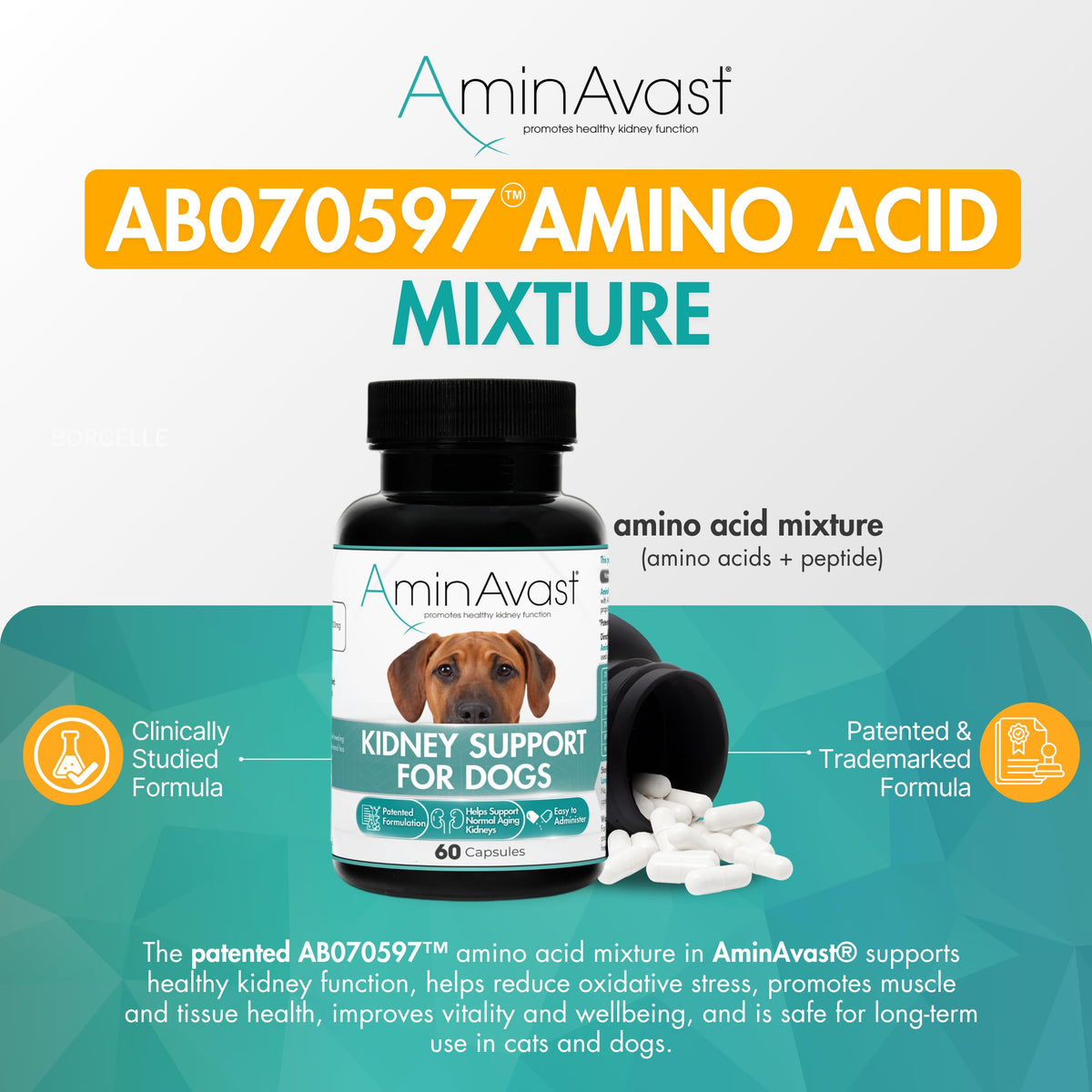 Kidney Support for Dogs 60 Sprinkle Capsules P494