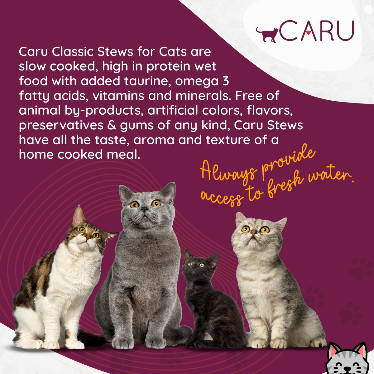 Turkey Recipe Cat Stew 5.5 oz Case of 12 F8636