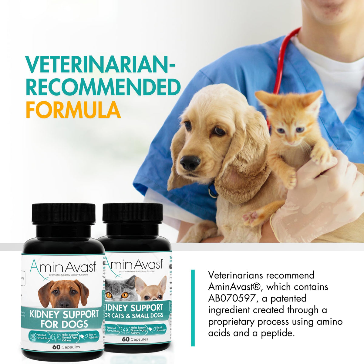 Kidney Support for Dogs 60 Sprinkle Capsules P494