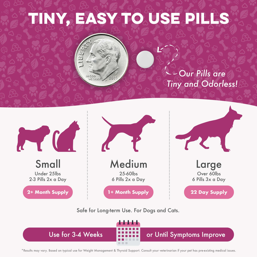 Weight Loss for Dogs 400 Pills Y279