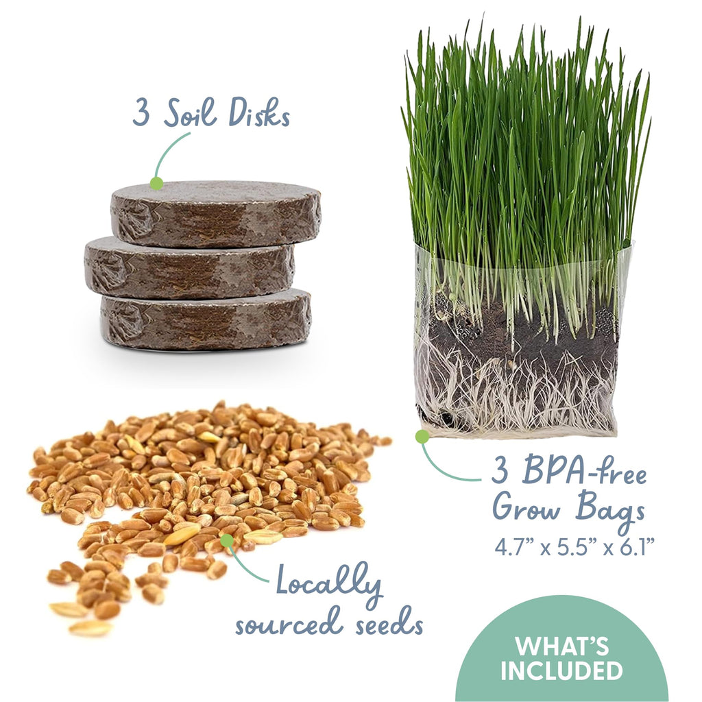 Organic Cat Grass Grow Bag Kit 3 Pack W680770