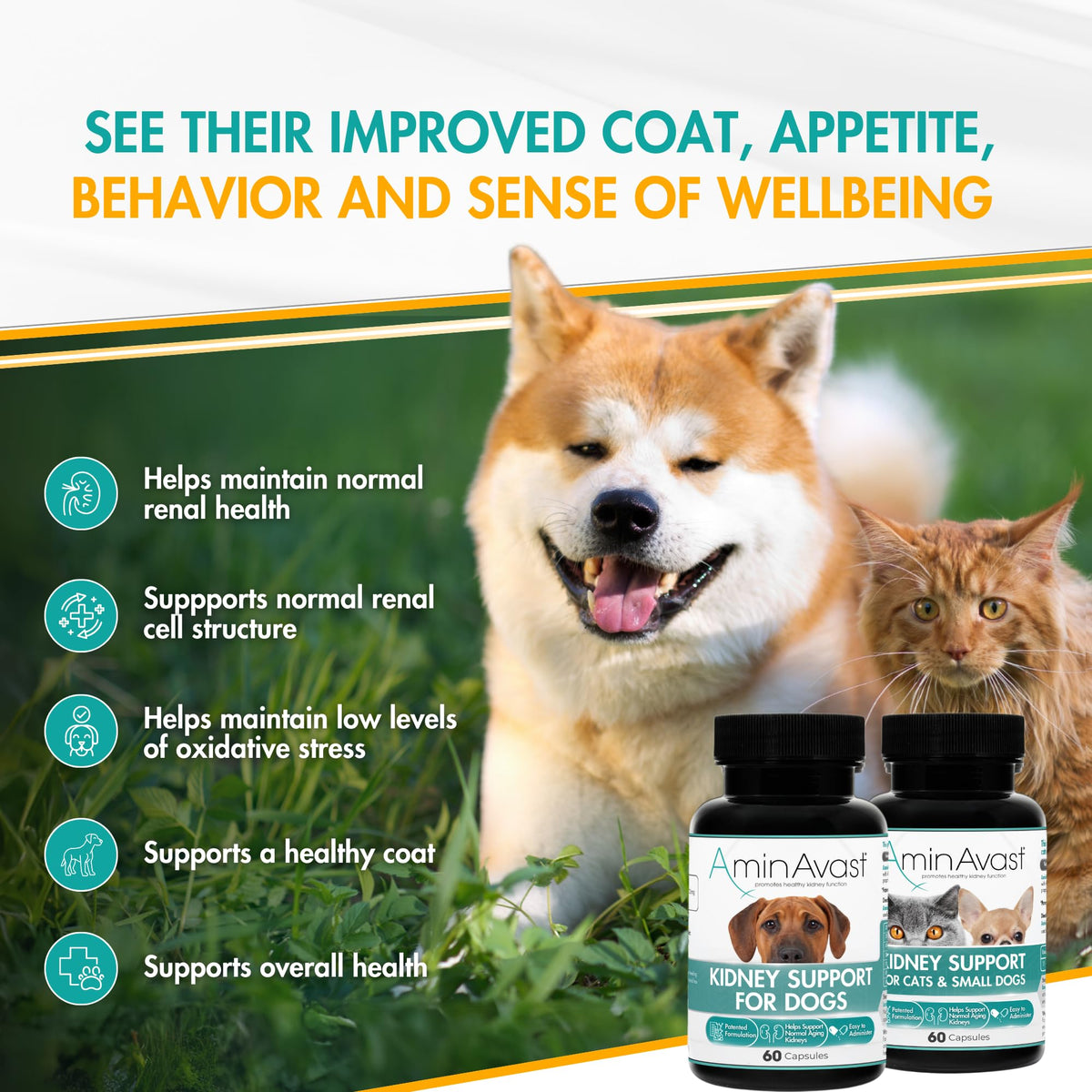 Kidney Support for Dogs 60 Sprinkle Capsules P494